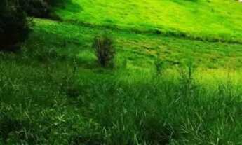 Imagem 3: AREA - PARQUE DOS JACARANDÁS - SP