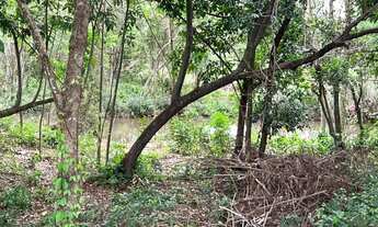 Imagem 5: Fazenda para Venda em Santa Cruz de Goiás, Zona Rural, 4 dormitórios, 4 suítes, 4 banheiro