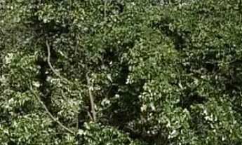 Imagem 5: Imóvel para venda tem 300 metros quadrados em Centro - Araricá - RS