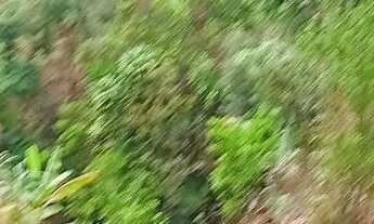 Imagem 7: Sítio Chácara com venda por R$300.000