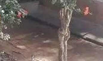 Imagem 6: Casa em Rua Marselha - Jaguaré - São Paulo/SP