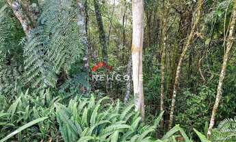 Imagem 3: Lote em Alto do Capivari - Alto do Capivari - Campos do Jordão/SP