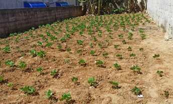 Imagem: Terreno à venda 140m² Bairro Majestic