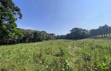 Imagem 4: Imóvel para venda com 49.743metros quadrados em Campo Novo - Campo Magro - PR