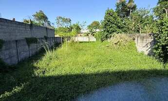 Imagem 2: Vendo terreno em barramares frente a 388