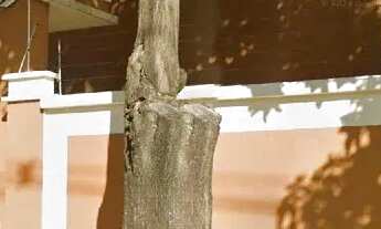 Imagem: Apartamento à venda, 85,2m², 3 quartos