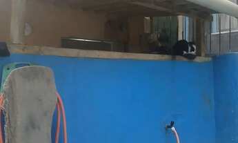 Imagem 6: Vendo uma casa com terraço , piscina e um cômodo no quintal uma quitinete