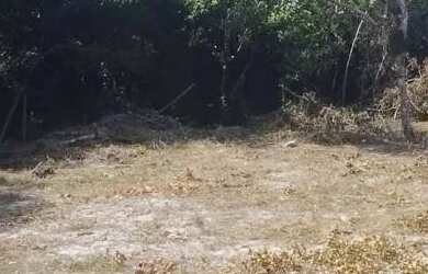 Imagem 6: Lote em taquaracu de minas 1000 metros cercado