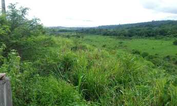 Imagem 5: Fazenda 85 alqueires abel figueiredo pará