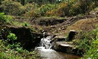 Imagem 3: Roça de cacau e banana