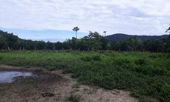 Imagem 2: Fazenda top linha porteira fechada