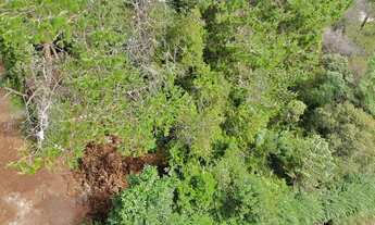Imagem 4: Terreno à venda na Vila Porã - Campos do Jordão/SP