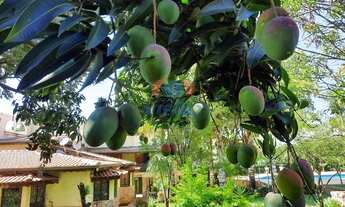 Imagem 3: Chácara à venda, 8 quartos, 3 suítes, 25 vagas, Loteamento Aldrovândia Gleba 2 - Indaiatub