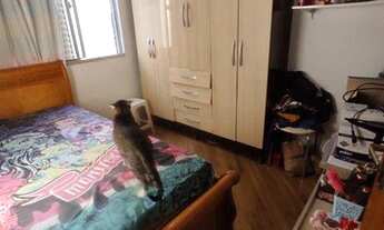 Imagem 4: Cobertura com 3 dormitórios à venda, 110 m² por R$ 550.000,00 - Freguesia do Ó - São Paulo