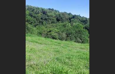 Imagem 3: N05- Confira terreno de mil metros