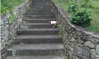 Imagem 3: Fazenda/Sítio/Chácara para venda possui 300 metros quadrados com 3 quartos