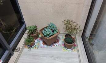 Imagem 6: Apartamento à venda, Pirituba, São Paulo, SP