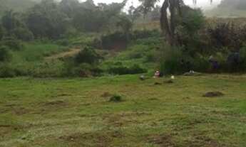 Imagem 4: Lote/Terreno para venda possui 1000 metros quadrados com 1 quarto em Ouro Fino - Santa Isa