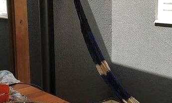 Imagem 7: Lindo Apartamento em Taubaté