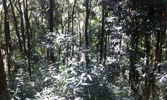 Imagem 6: Lote 1000 m? Condom?nio Pas?rgada