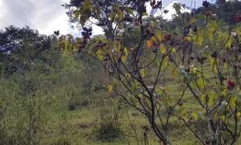 Imagem 2: Sítio 2,5 alqueires