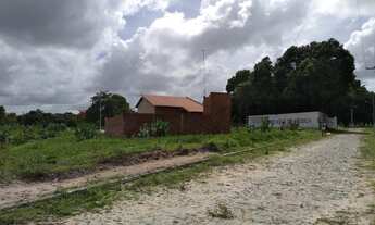 Imagem 3: Repasse de lote em Cascavel