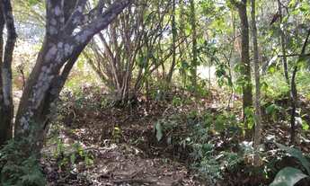 Imagem 5: Chácaras parceladas próximo a Anápolis