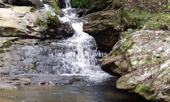 Imagem 5: Fazenda com 2 dormitórios à venda, 4114000 m² por R$ 5.500.000,00 - Paraíba do Sul - Paraí