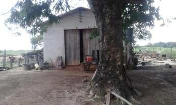 Imagem 4: Fazenda 482 alqueires em Santa Maria TO