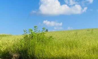 Imagem: WNS A PAZ QUE VOCÊ TANTO PROCURA ESTA NO