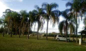 Imagem 3: Chácara de 2 alqueires em Pereiras - SP com atividade pecuária