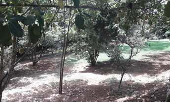 Imagem 3: Secretario Terreno / lote com venda por R$430.000