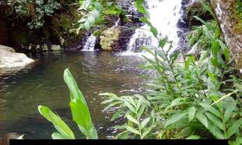 Imagem 2: Área Rural para Venda em Tijucas do Sul, Matulão