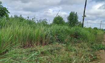 Imagem 6: Lote 100x230 aceito carro