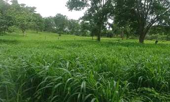 Imagem 5: FAZENDA À VENDA EM NORTE DE MINAS