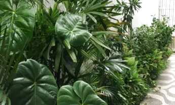 Imagem 2: Apartamento piedade