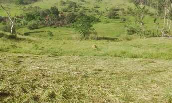 Imagem 2: Terreno Próximo A Cachoeira Lotes De 600 m²