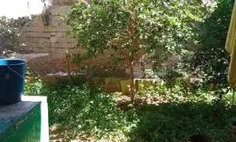 Imagem 4: Vendo casa em Dois Vizinhos - PR