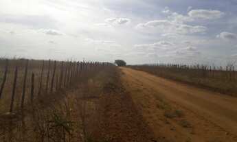 Imagem 2: Linda Fazenda com 380 hectares na chapada de Apodi-RN