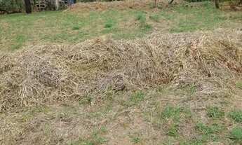 Imagem 7: VENDO CHÁCARA RICA EM ÁGUA E PRODUÇÃO NA PONTE ALTA CASA GRANDE