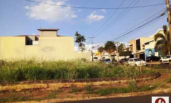 Imagem 4: Terreno (terreno normal