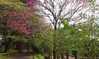 Imagem 6: Terreno-À VENDA-Fazenda Santo Antonio das Paineiras-Morungaba-SP