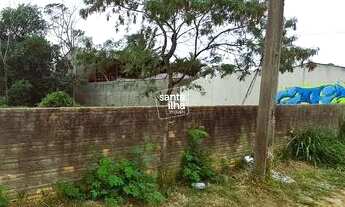 Imagem 2: FLORIANóPOLIS - Terreno Padrão - Morro das Pedras