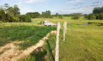Imagem 6: Maravilhosa Área de terra 2.3 hectares Porteira fechada em Glorinha de barbada!!!!