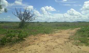 Imagem 3: Excelente Fazenda com 240 hectares no córrego de São Mateus Município de boa saúde