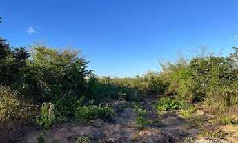 Imagem 2: Fazenda à venda, 508Ha em- Miracema do Tocantins-TO