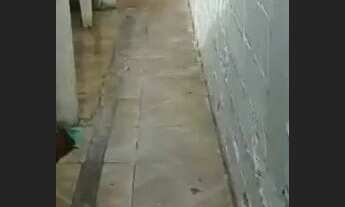 Imagem 3: Casa kitnet $ 350.00 bayeux