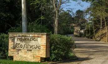 Imagem 4: Terreno-À VENDA-Fazenda Santo Antonio das Paineiras-Morungaba-SP