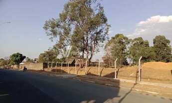 Imagem 3: área - Núcleo Santa Izabel - Campinas