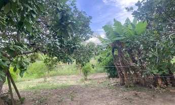 Imagem 6: Vendo chácara com duas casas e ponto de comercio